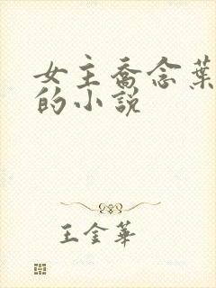 女主乔念叶妄川的小说