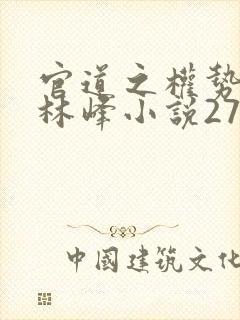 官道之权势滔天林峰小说277