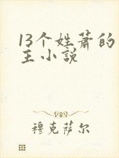 13个姓萧的男主小说