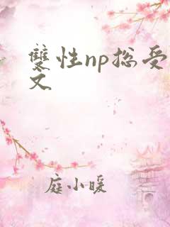 双性np总受v文