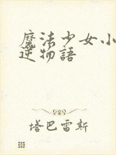 魔法少女小圆叛逆物语