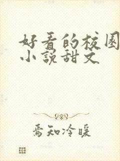 好看的校园言情小说甜文