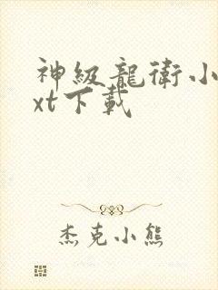 神级龙卫小说txt下载