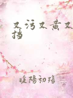 又污又黄又无遮挡