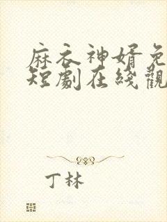 麻衣神婿免费的短剧在线观看完整版