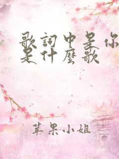 歌词中是你是你是什么歌