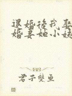 退婚后我娶了未婚妻她小姨