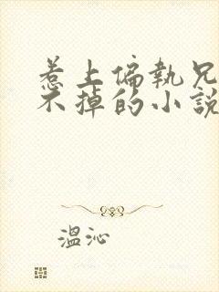 惹上偏执兄长逃不掉的小说免费