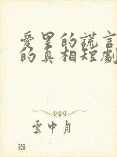 爱里的谎言仇恨的真相短剧全集