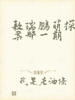 敖瑞鹏萌探探探案哪一期