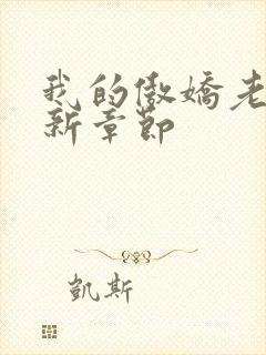 我的傲娇老婆最新章节