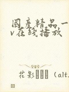 国产精品一级av在线播放