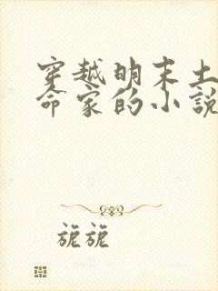 穿越明末土匪革命家的小说