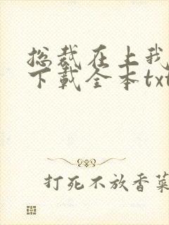 总裁在上我在下下载全本txt