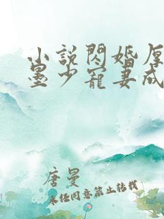 小说闪婚厚爱:墨少宠妻成瘾