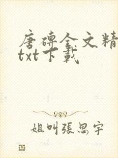 唐砖全文精校版txt下载