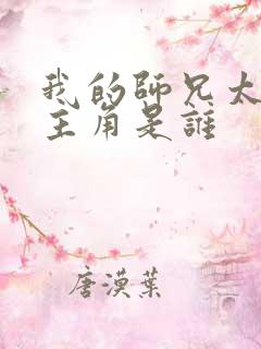 我的师兄太强了主角是谁