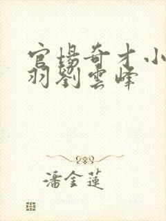 官场奇才小说陆羽刘云峰