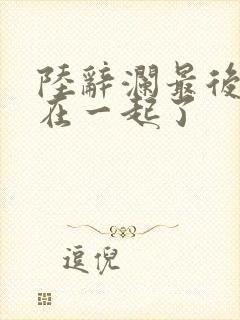 陆辞澜最后和谁在一起了