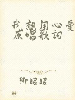 我想用心爱着你原唱歌词