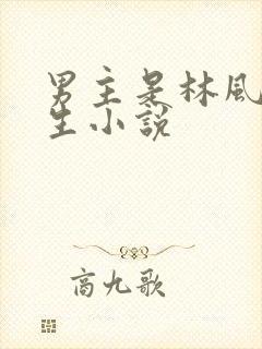 男主是林风的重生小说