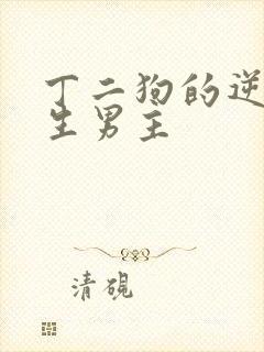 丁二狗的逆袭人生男主