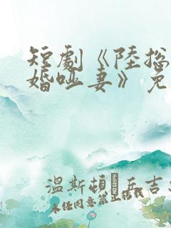 短剧《陆总的新婚哑妻》免费观看