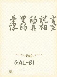 爱里的谎言,仇恨的真相完整版