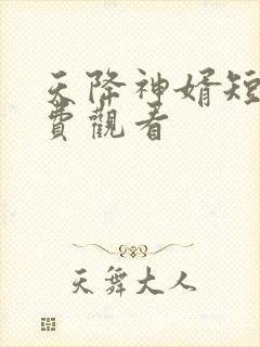 天降神婿短剧免费观看