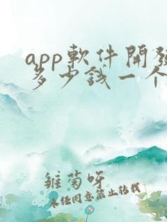 app软件开发多少钱一个