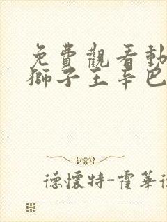 免费观看动画片狮子王辛巴正版