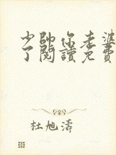 少帅你老婆又跑了阅读免费