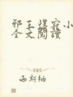 邪王爆宠小辣妃全文阅读