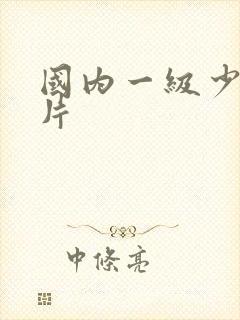 国内一级少妇淫片