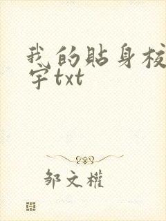 我的贴身校花唐宇txt