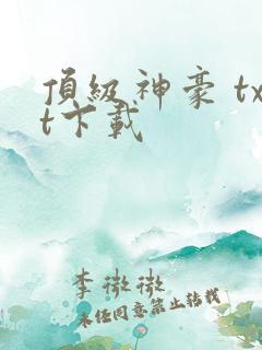 顶级神豪 txt下载