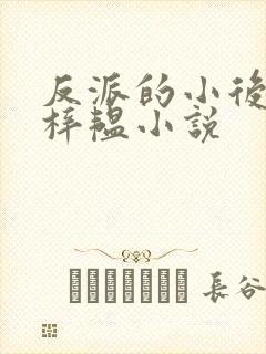 反派的小后妈邱梓韫小说