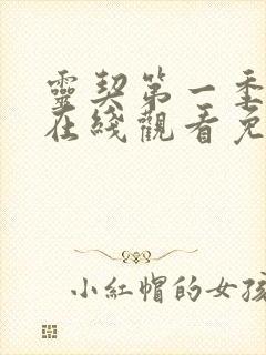 灵契第一季全集在线观看免费高清