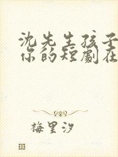 沈先生孩子不是你的短剧在线观看全集