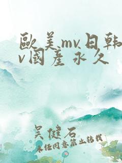 欧美mv日韩mv国产永久