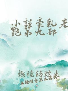 小说豪乳老师刘艳第九部