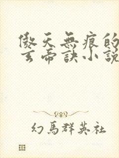 傲天无痕的九天玄帝诀小说