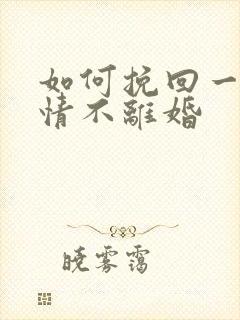 如何挽回一段感情不离婚