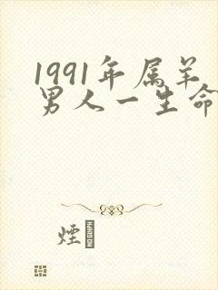 1991年属羊男人一生命运
