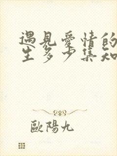 遇见爱情的利先生多少集知道身世