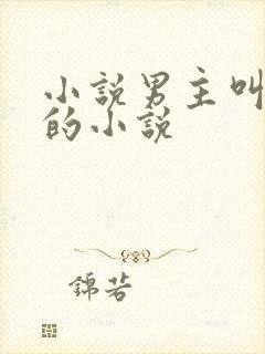 小说男主叫陈铭的小说