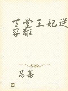 下堂王妃逆袭记容离
