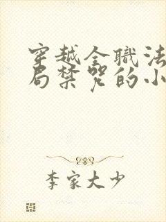 穿越全职法师开局禁咒的小说