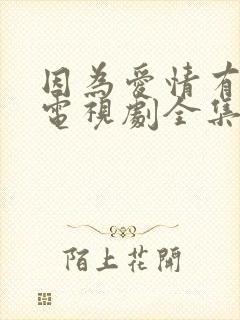 因为爱情有多美电视剧全集免费观看