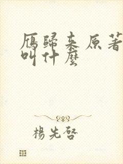 雁归来原著小说叫什么